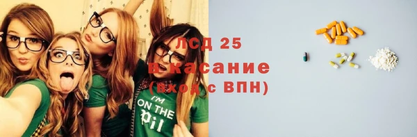 шишки Абинск
