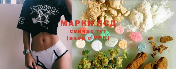 шишки Абинск